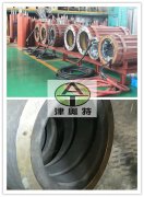 德國西格里石墨EK305材質(zhì)在三相異步電動機（潛水電機）中的應(yīng)用