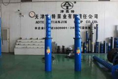 粗短礦用潛水電泵技術參數(shù)